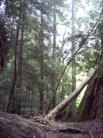 dsci0024.jpg