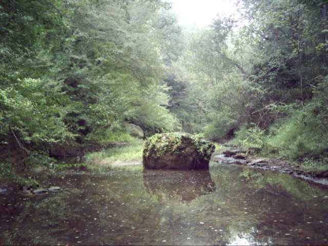 dsci0052.jpg