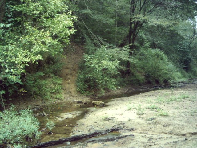 dsci0071.jpg
