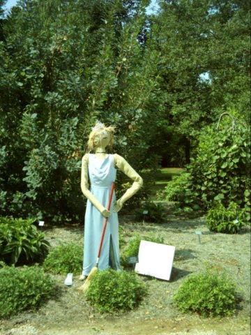 cinderhellapmsprincess.jpg