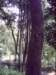dsci0105_small.jpg