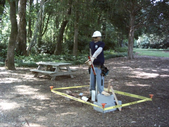 dsci0126.jpg