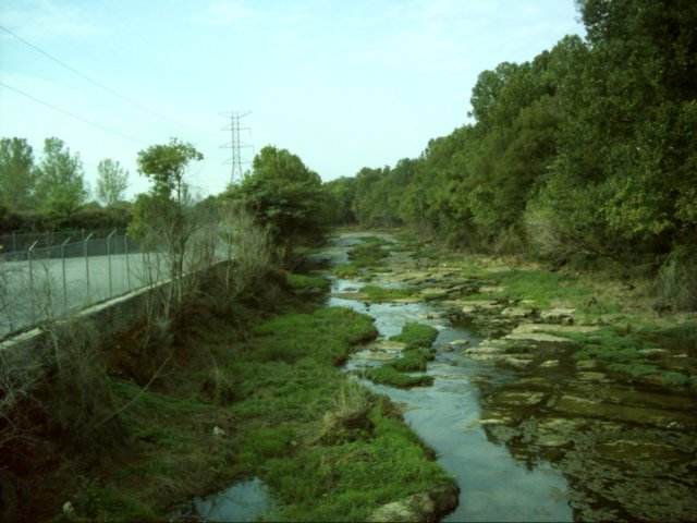 dsci0001.jpg