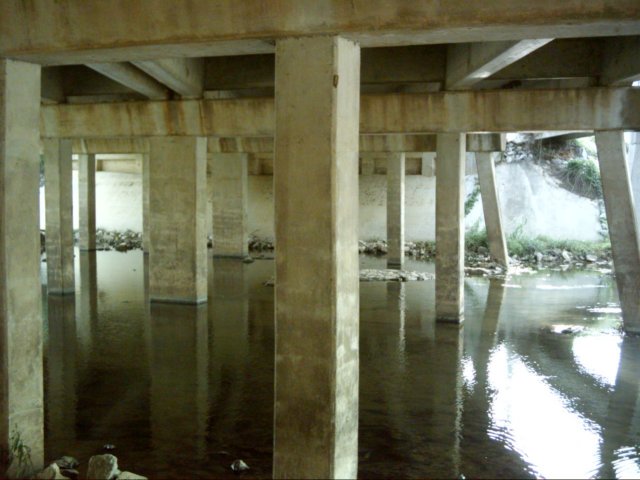 dsci0033.jpg
