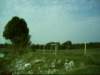 dsci0035_small.jpg