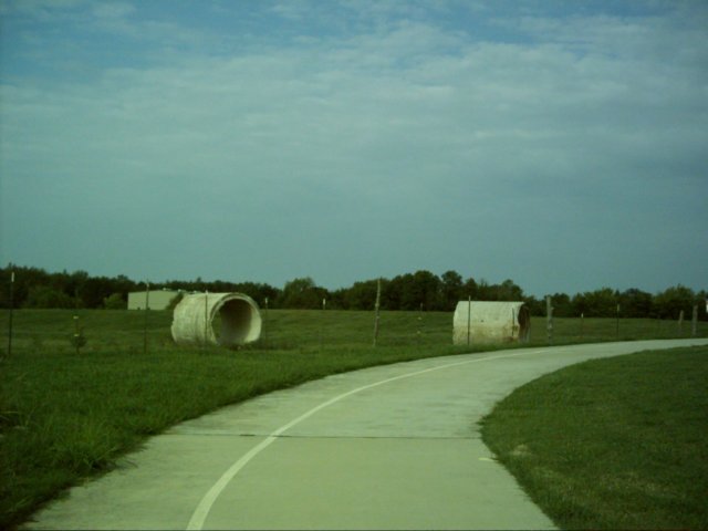 dsci0036.jpg