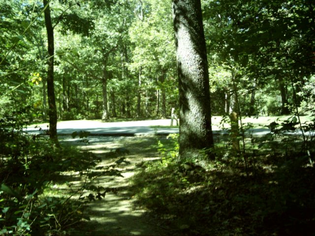 dsci0049.jpg