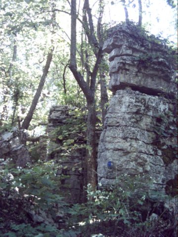 dsci0111.jpg