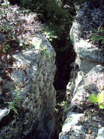 dsci0116.jpg