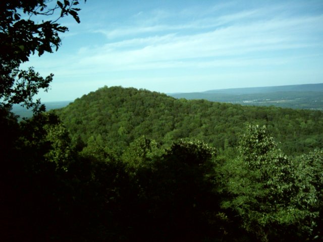 dsci0125.jpg