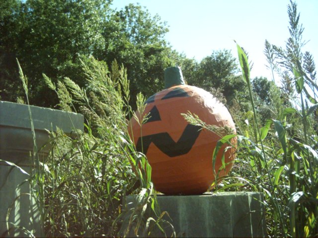 dsci0078.jpg