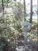 dsci0090_small.jpg