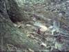 dsci0109_small.jpg