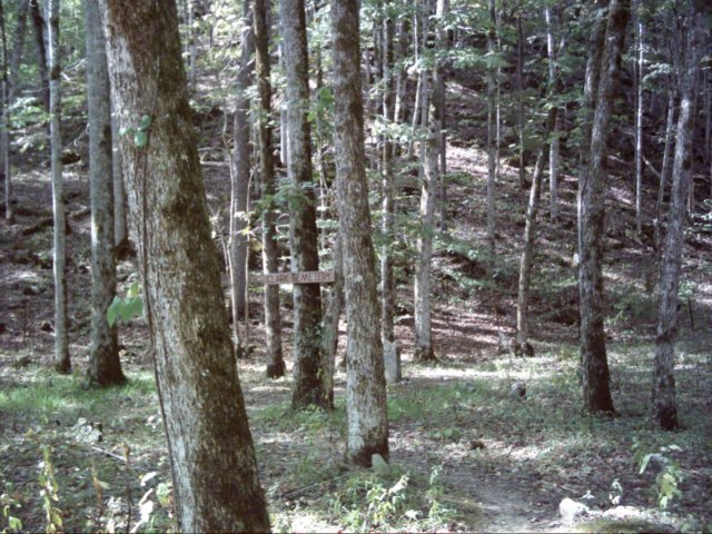 clarkcemetery.jpg