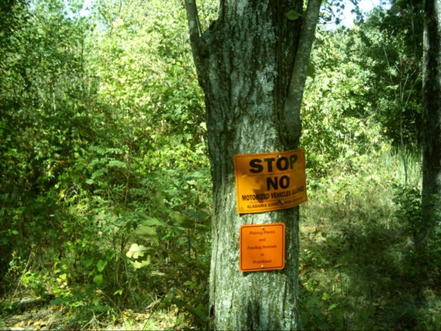 dsci0006.jpg