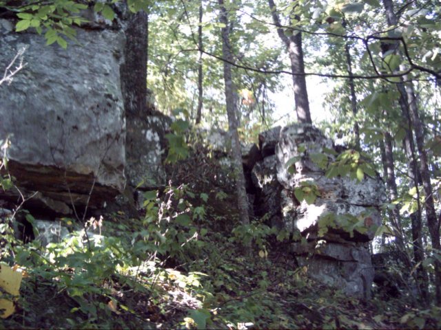 dsci0016.jpg