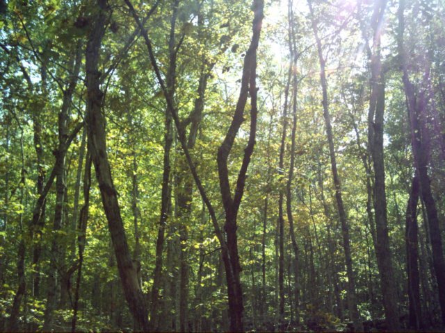dsci0034.jpg