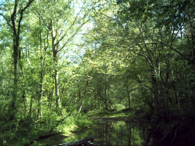 dsci0051.jpg