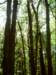 dsci0054_small.jpg