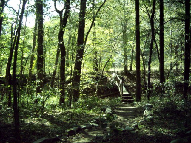 dsci0057.jpg