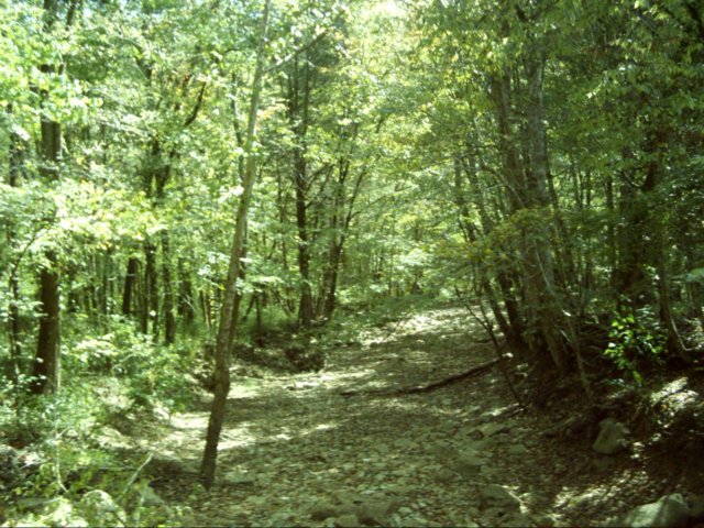 dsci0059.jpg