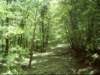 dsci0059_small.jpg