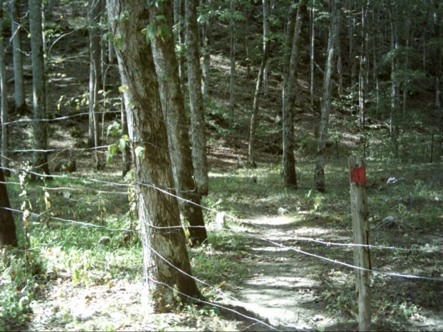 dsci0065.jpg