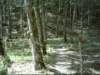 dsci0065_small.jpg
