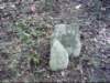 dsci0072_small.jpg