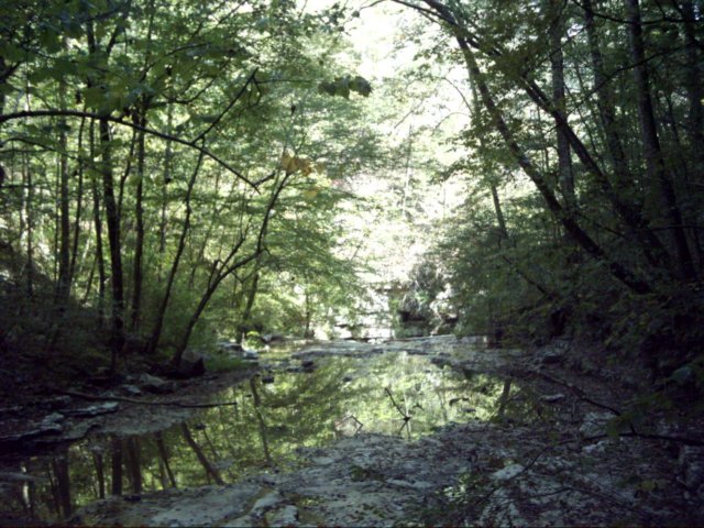 dsci0083.jpg