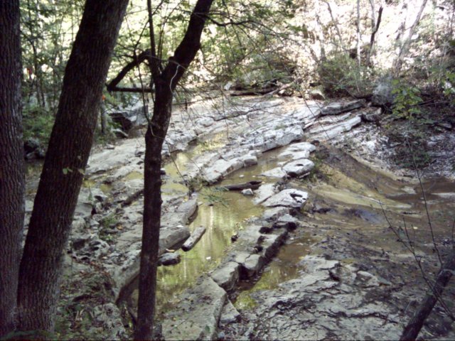 dsci0086.jpg