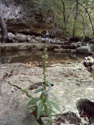dsci0090.jpg
