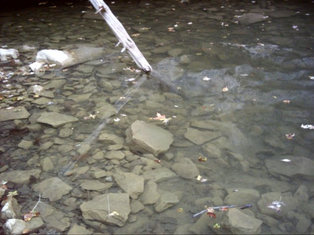 dsci0095.jpg