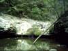 dsci0097_small.jpg