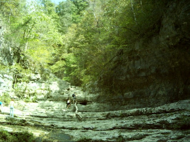 dsci0100.jpg