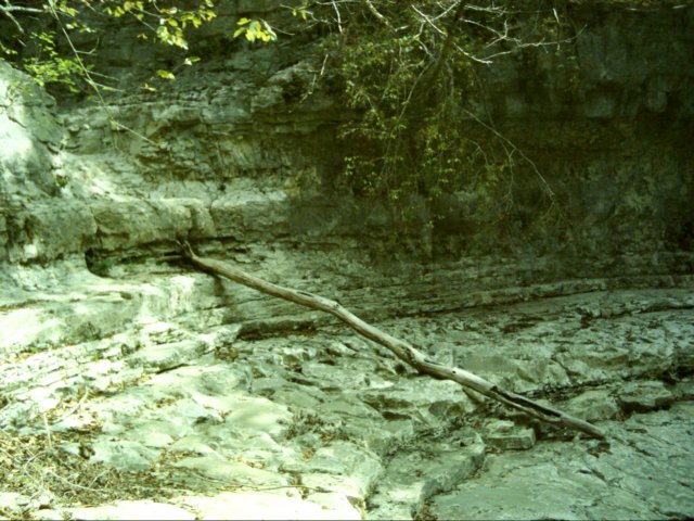 dsci0103.jpg