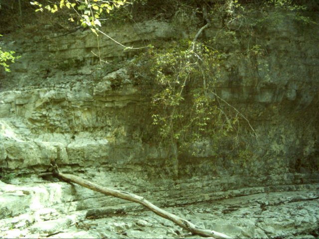dsci0105.jpg