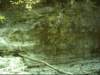 dsci0105_small.jpg