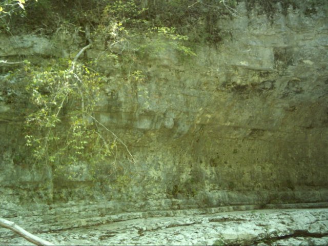 dsci0106.jpg
