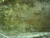 dsci0106_small.jpg