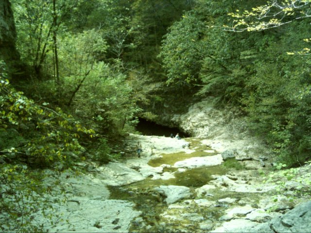 dsci0112.jpg