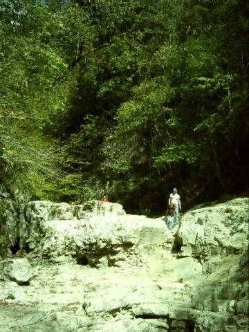 dsci0113.jpg