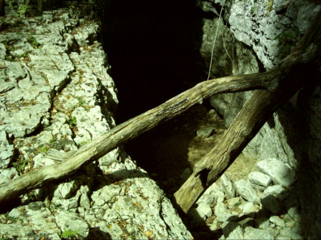 dsci0117.jpg