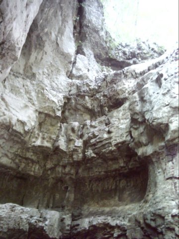dsci0119.jpg