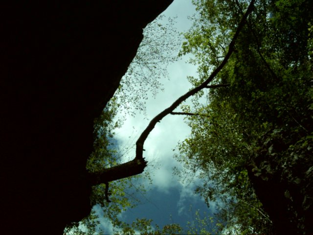 dsci0120.jpg