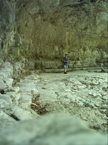 dsci0135.jpg