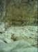 dsci0135_small.jpg
