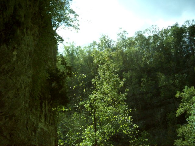 dsci0137.jpg