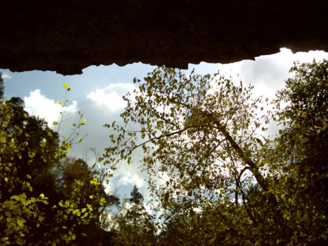 lookuptowardthesky.jpg