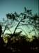 dsci0063_small.jpg